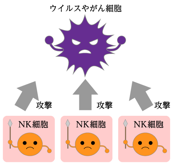 3.png
